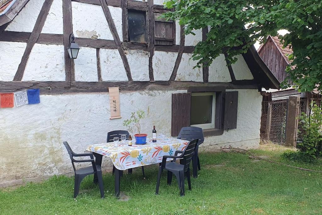Le Berger Du Salzbach Villa Romanswiller ภายนอก รูปภาพ